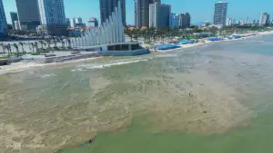 Biển Bãi Sau Vũng Tàu xuất hiện váng, bốc mùi hôi