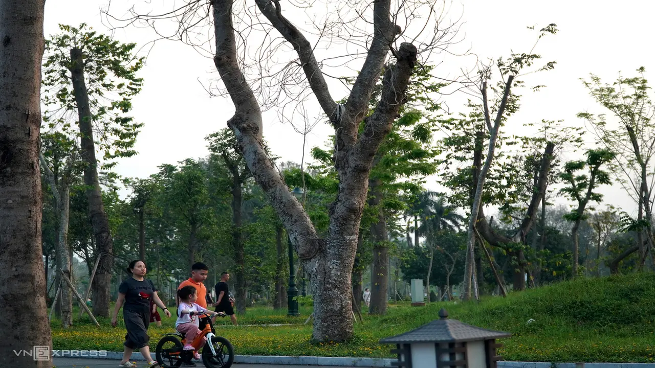 Cây xanh chết la liệt trong công viên lớn nhất Thanh Hóa