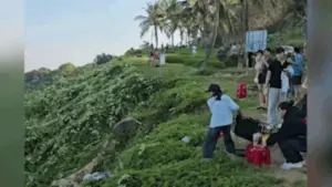 Chủ quán cà phê ném bàn ghế xuống vực Sơn Trà, né kiểm tra