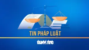 Dùng bệnh án tâm thần 'né tội', người phụ nữ vẫn lãnh 13 năm tù