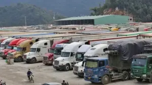 Nóng: Chính thức hoãn thi hành Nghị định 46