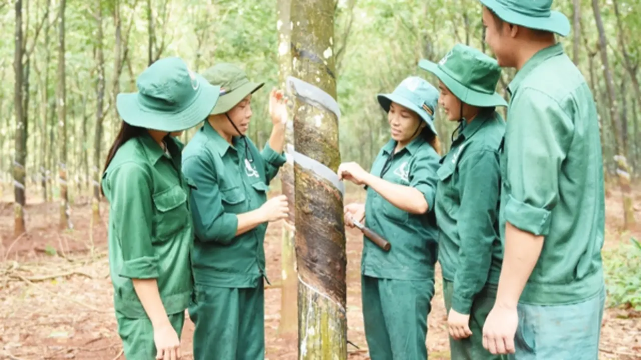 VRG kiến tạo giá trị bền vững